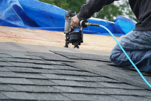 Best Roof Gutter Cleaning  in Trotwood, OH